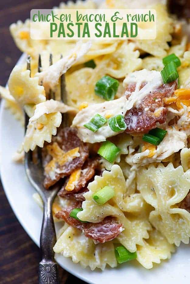 Close up of pasta salad on a plate.