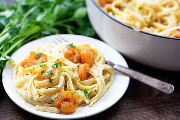 shrimp alfredo on plate