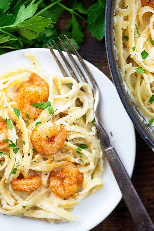 shrimp alfredo on white plate