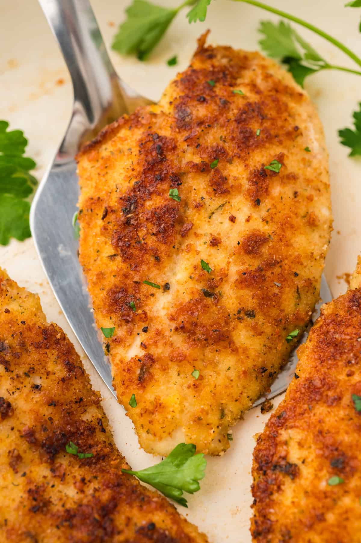 Parmesan crusted chicken recipe on spatula.