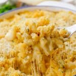 spoonful of creamy mac and cheese casserole.