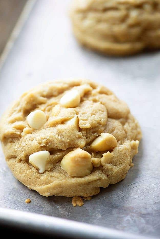 A close up of a macadamia nut cookie.