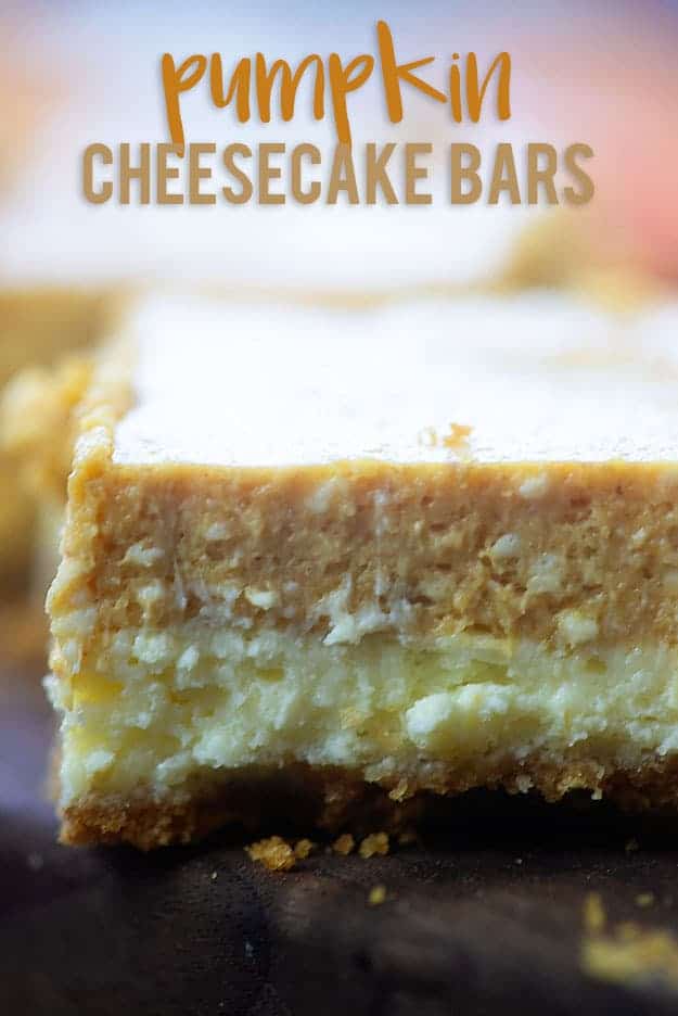 A close up of a pumpkin cheesecake bars.