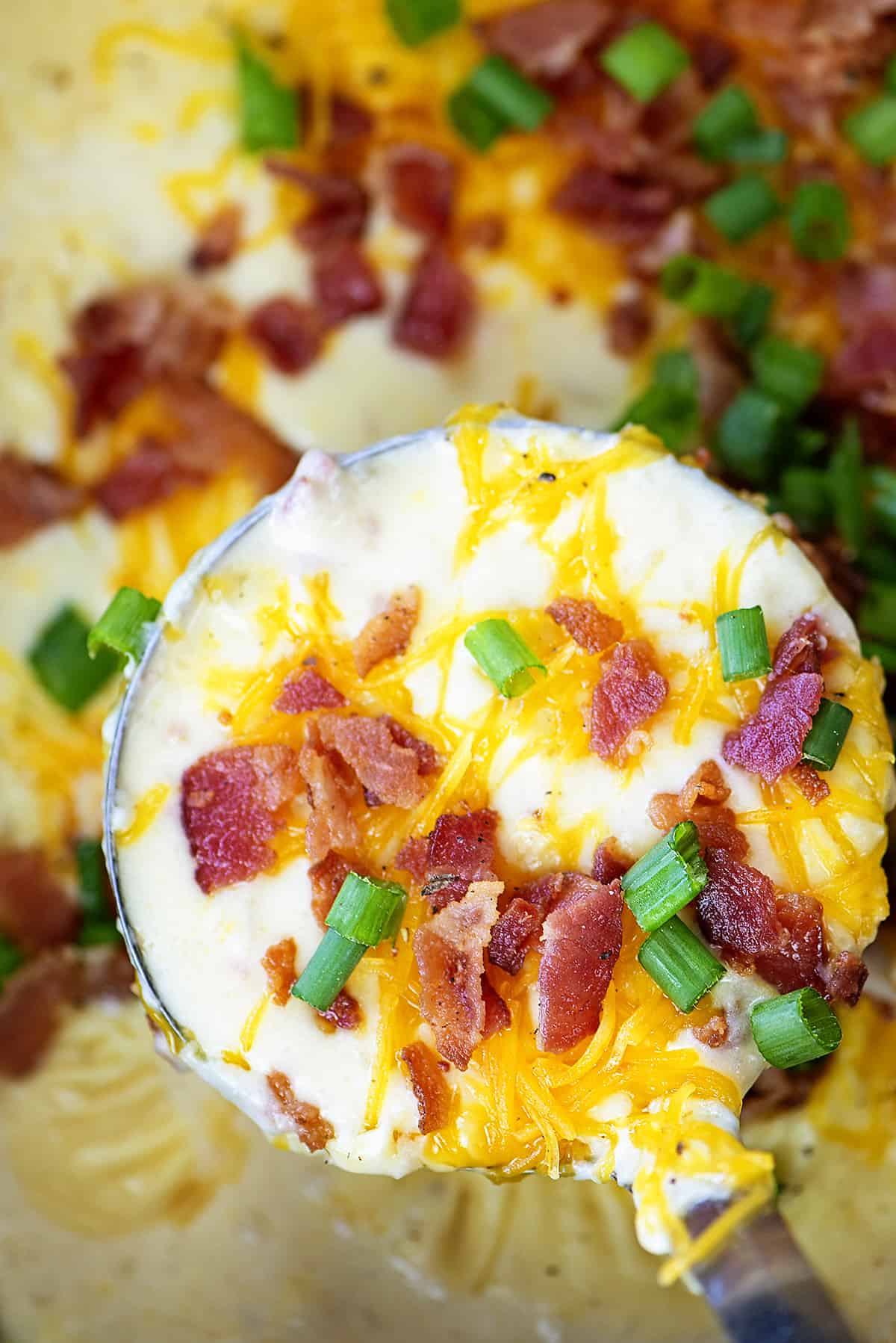 Loaded potato soup on ladle.