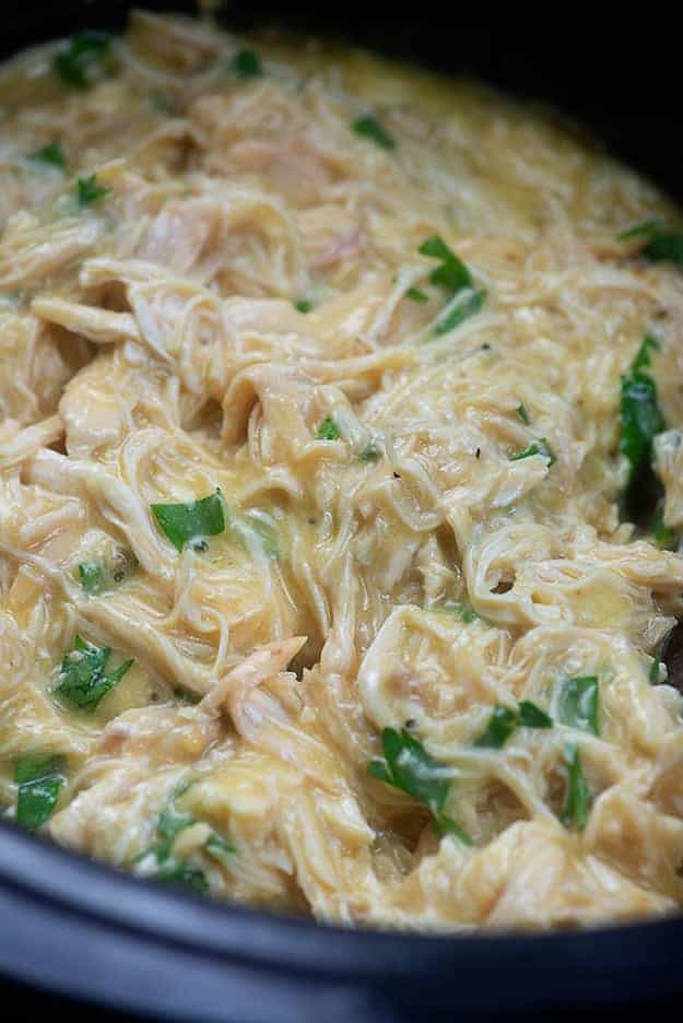 A close up of shredded chicken.