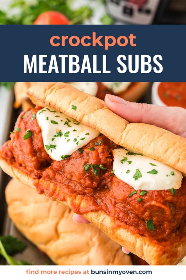Hand holding a meatball sub.