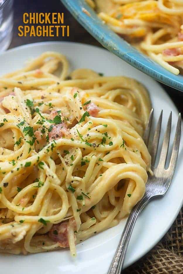 White plate with seasoned pasta on top.