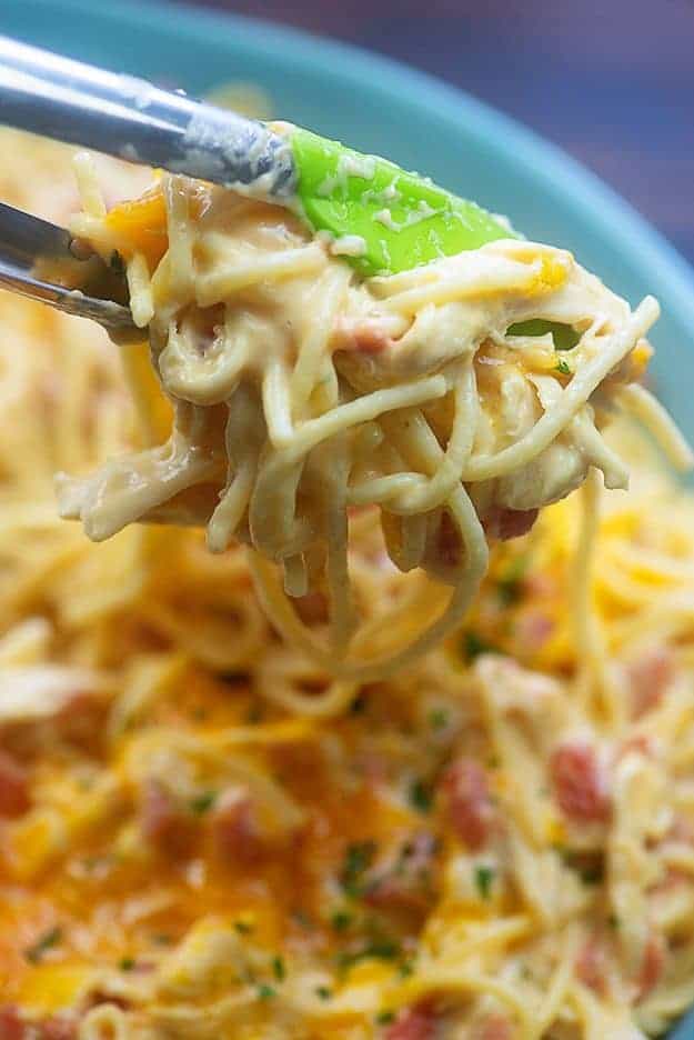 A close up of a fork holding up a plate of pasta.