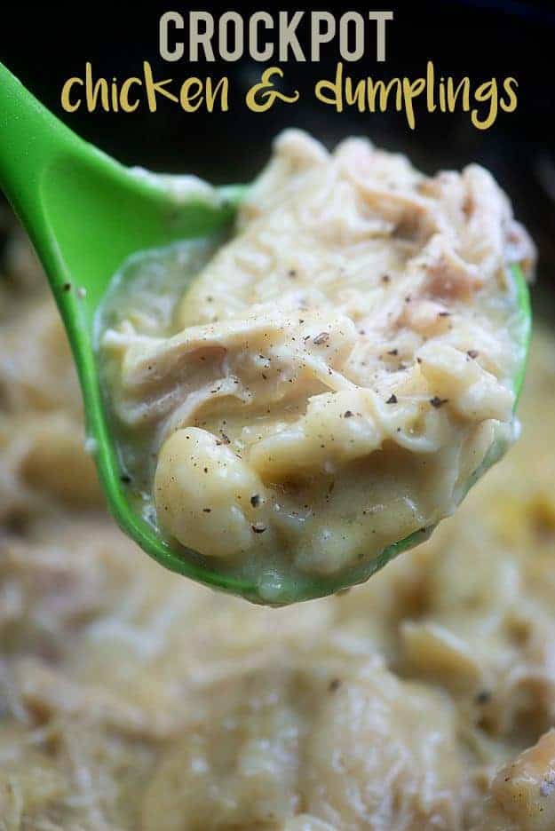 A close up of chicken and dumplings on a plastic ladle