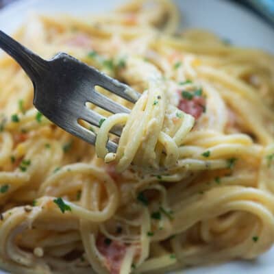 A plate of pasta below a fork holding pasta up.