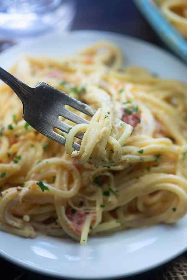 A plate of pasta below a fork holding pasta up.
