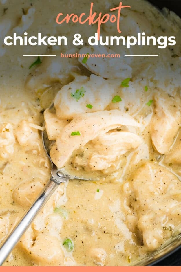 Spoonful of crockpot chicken and dumplings recipe.