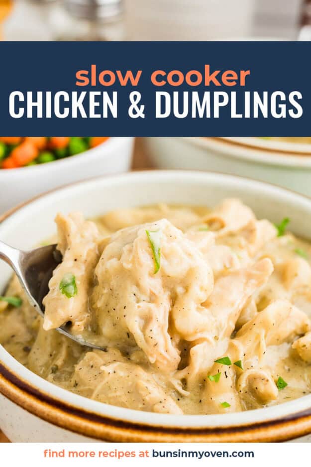 Bowl full of chicken and dumplings.