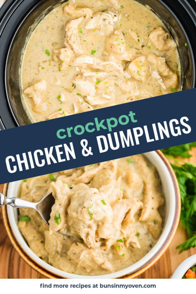 Collage of chicken and dumplings images.