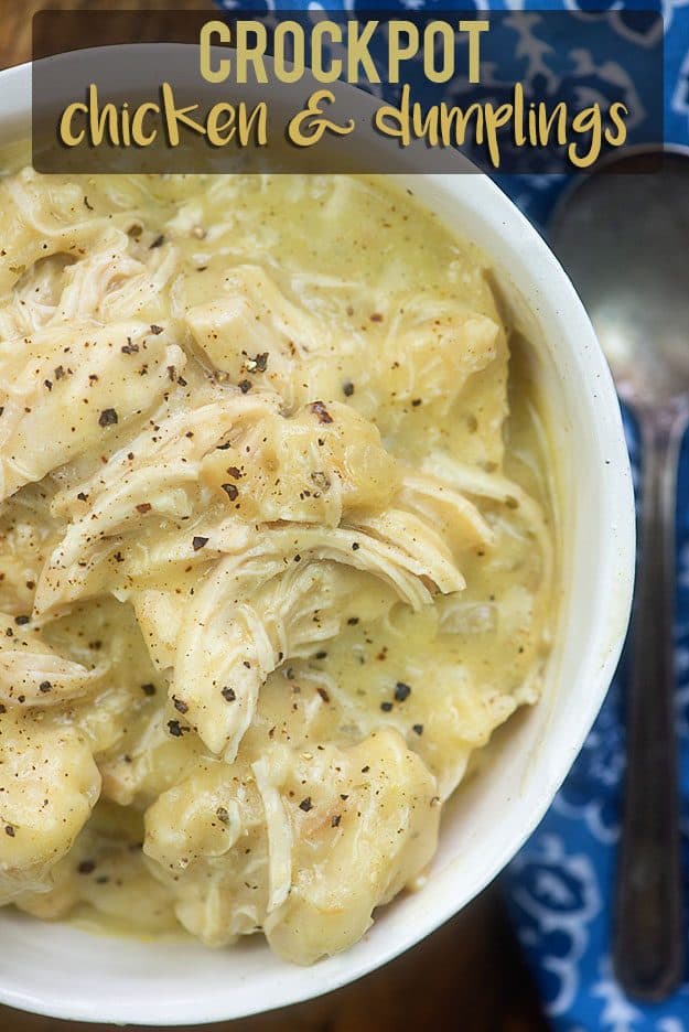 A top view of a bowl of seasoned chicken and dumplings.