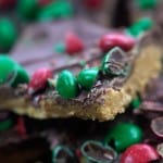 peanut butter bars topped with M&M's.