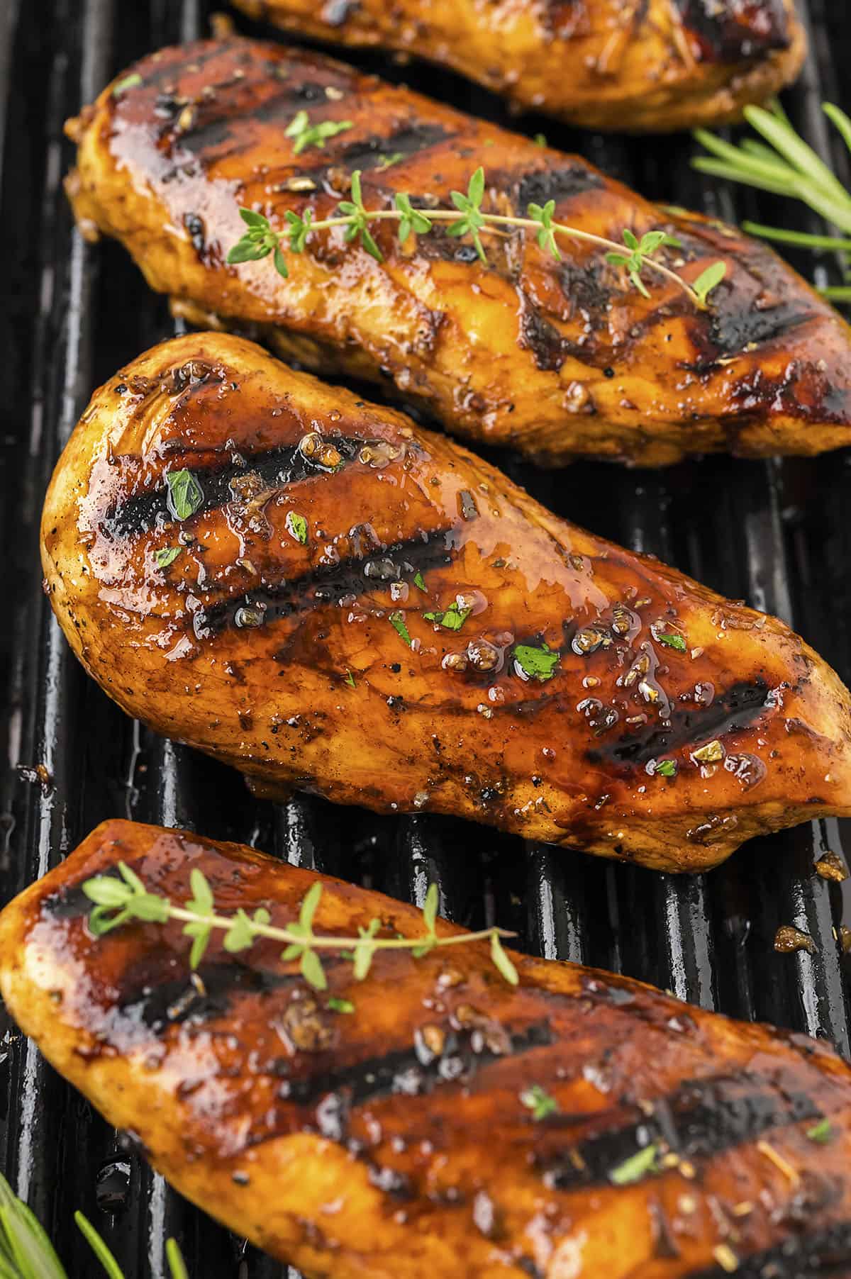 Grilled chicken breasts.