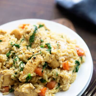 Close up view of chicken and rice on a plate.