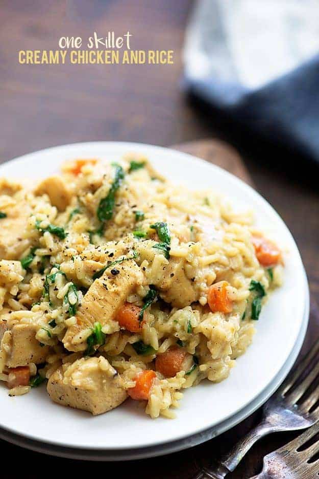 A plate of rice with chunks of chicken in it.