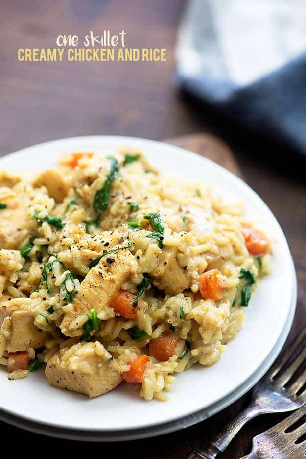 Close up view of chicken and rice on a plate.