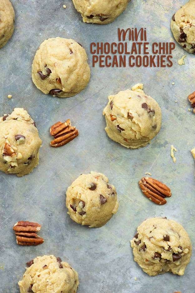 Pecan cookies on a baking sheet with whole pecans between the cookies.