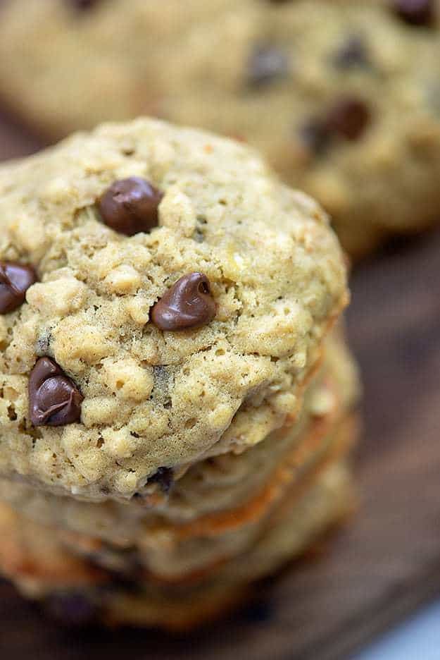 Close up of a chocolate chip cookie.