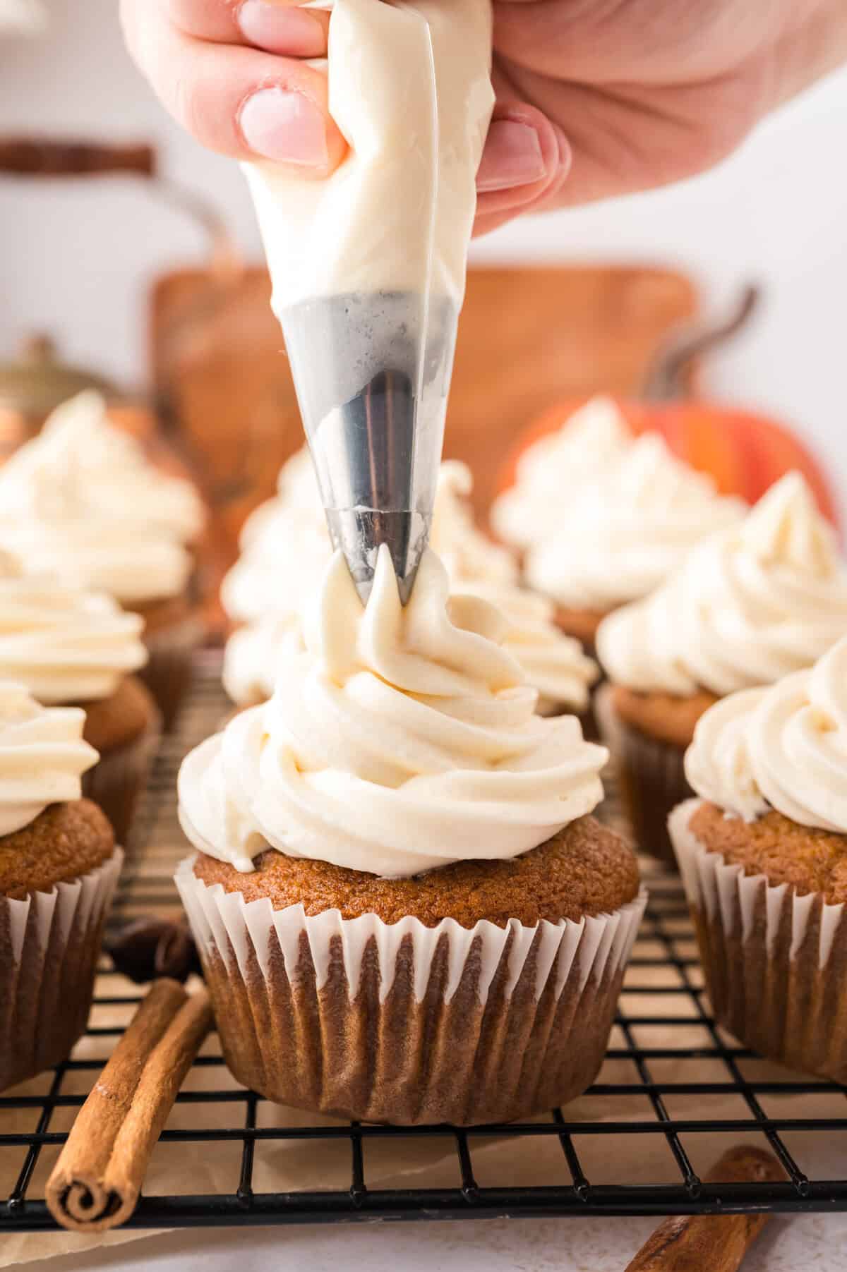 Pumpkin cupcakes with cream cheese frosting being piped over the top.