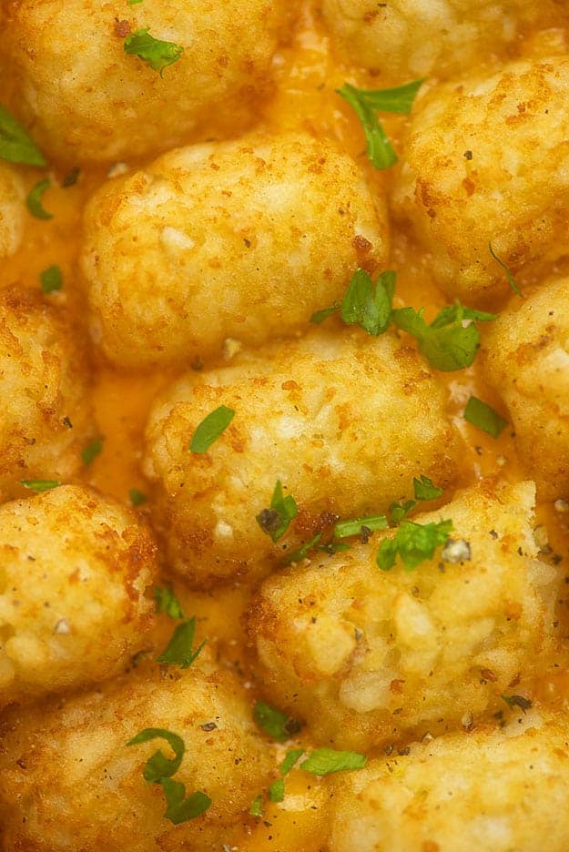 A close up of seasoned tater tots.