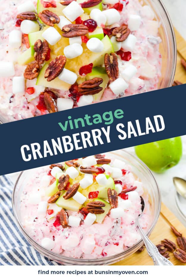 Collage of cranberry salad recipe images.