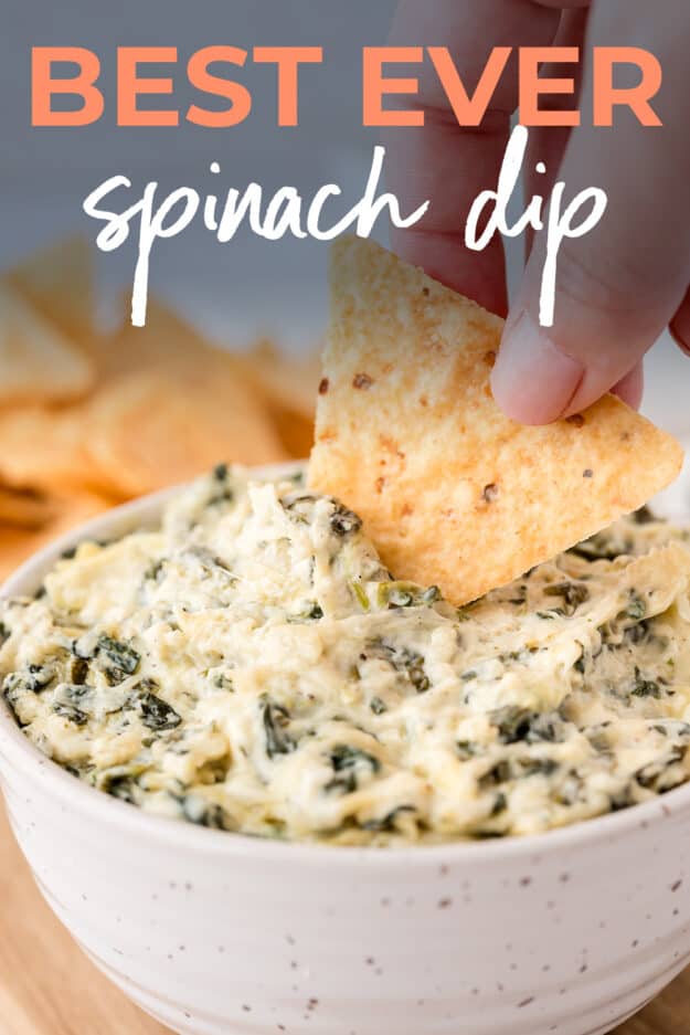 Chip being dipped in spinach dip.