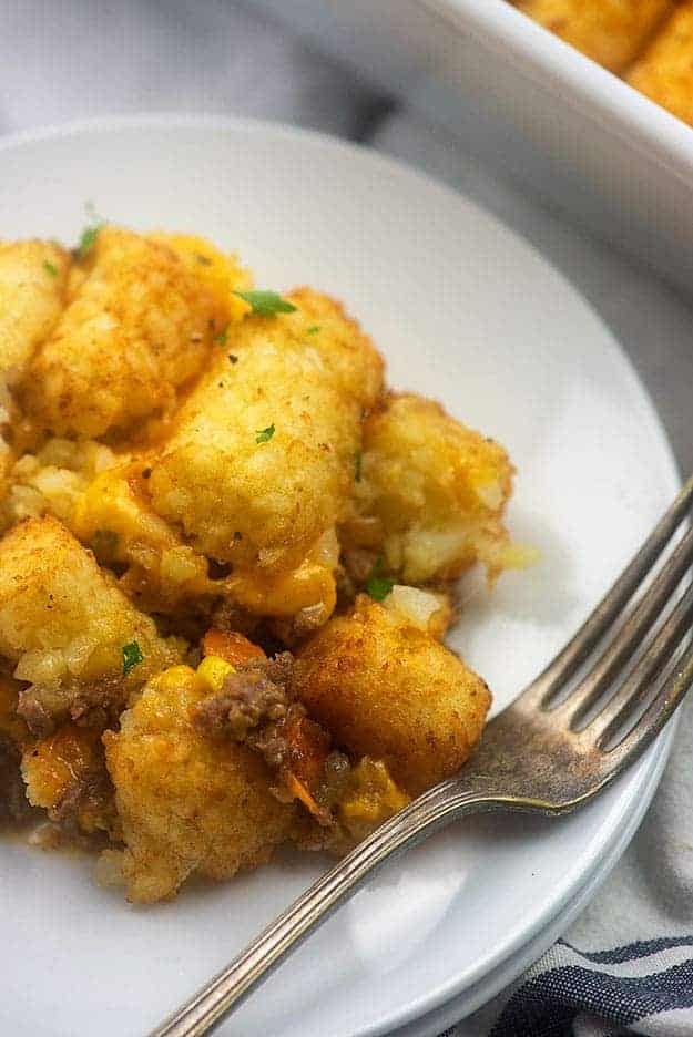 A plate of food with a fork