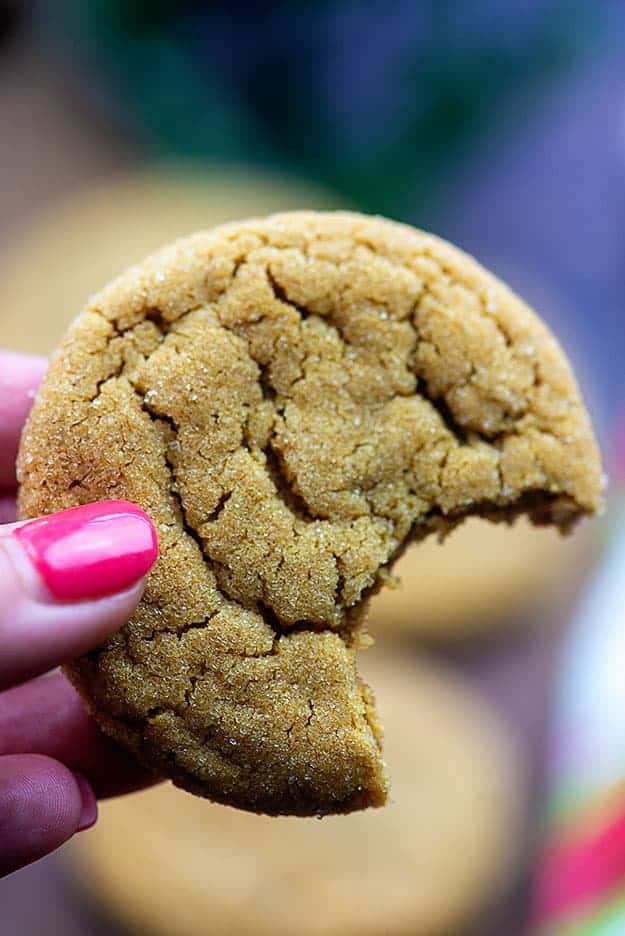 soft ginger cookies 