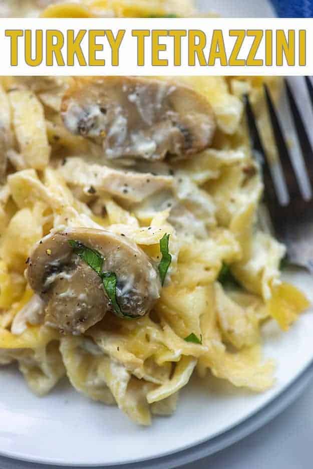 turkey tetrazzini with mushrooms