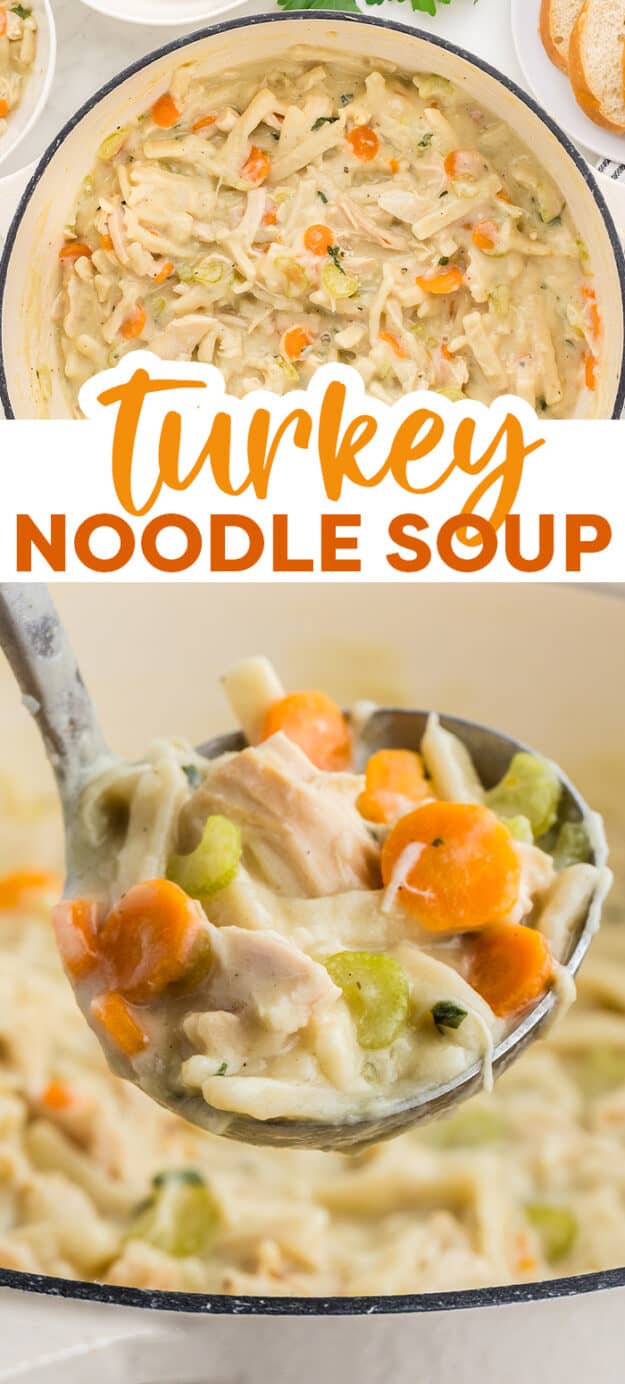 Turkey noodle soup collage.