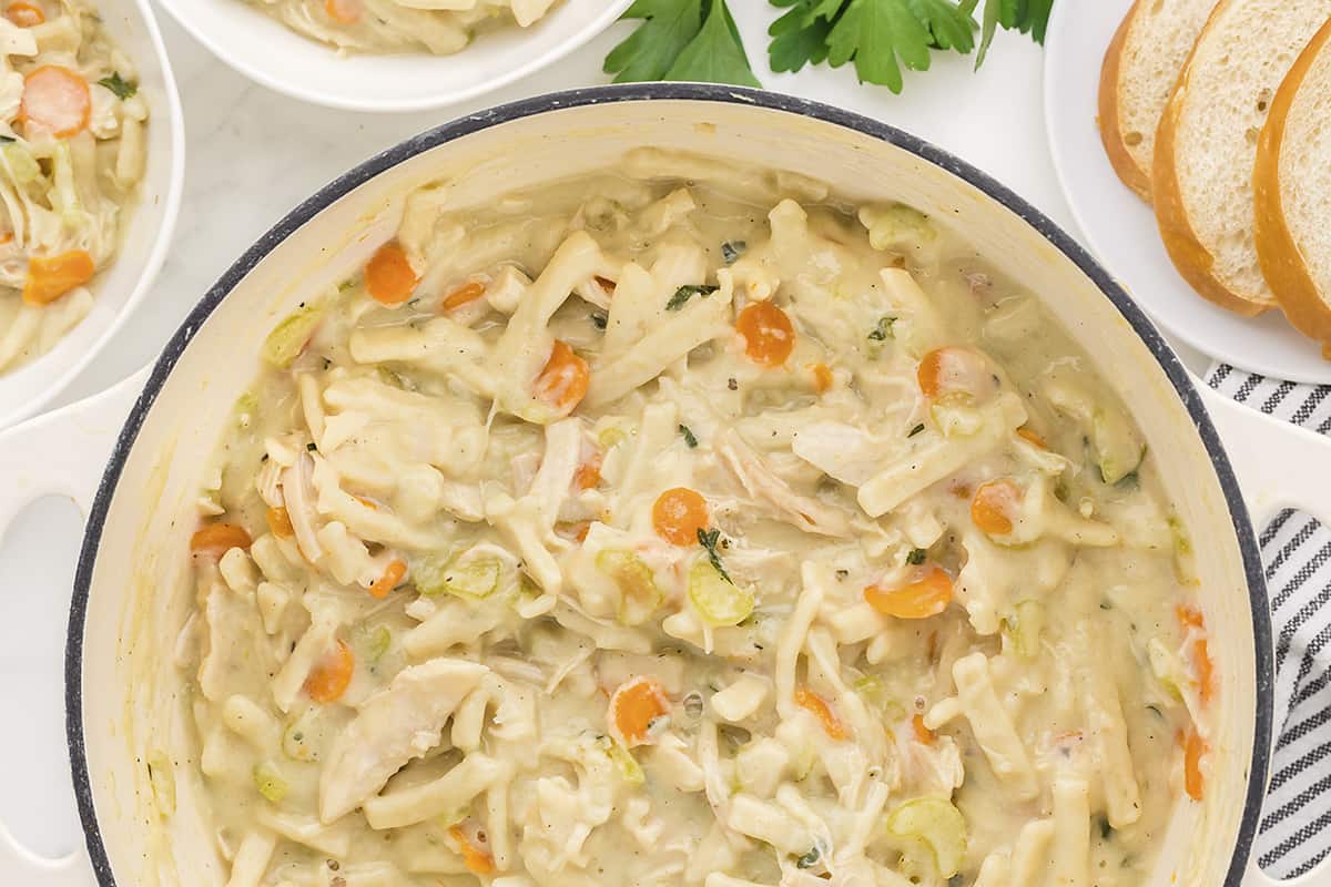Turkey Noodle Soup