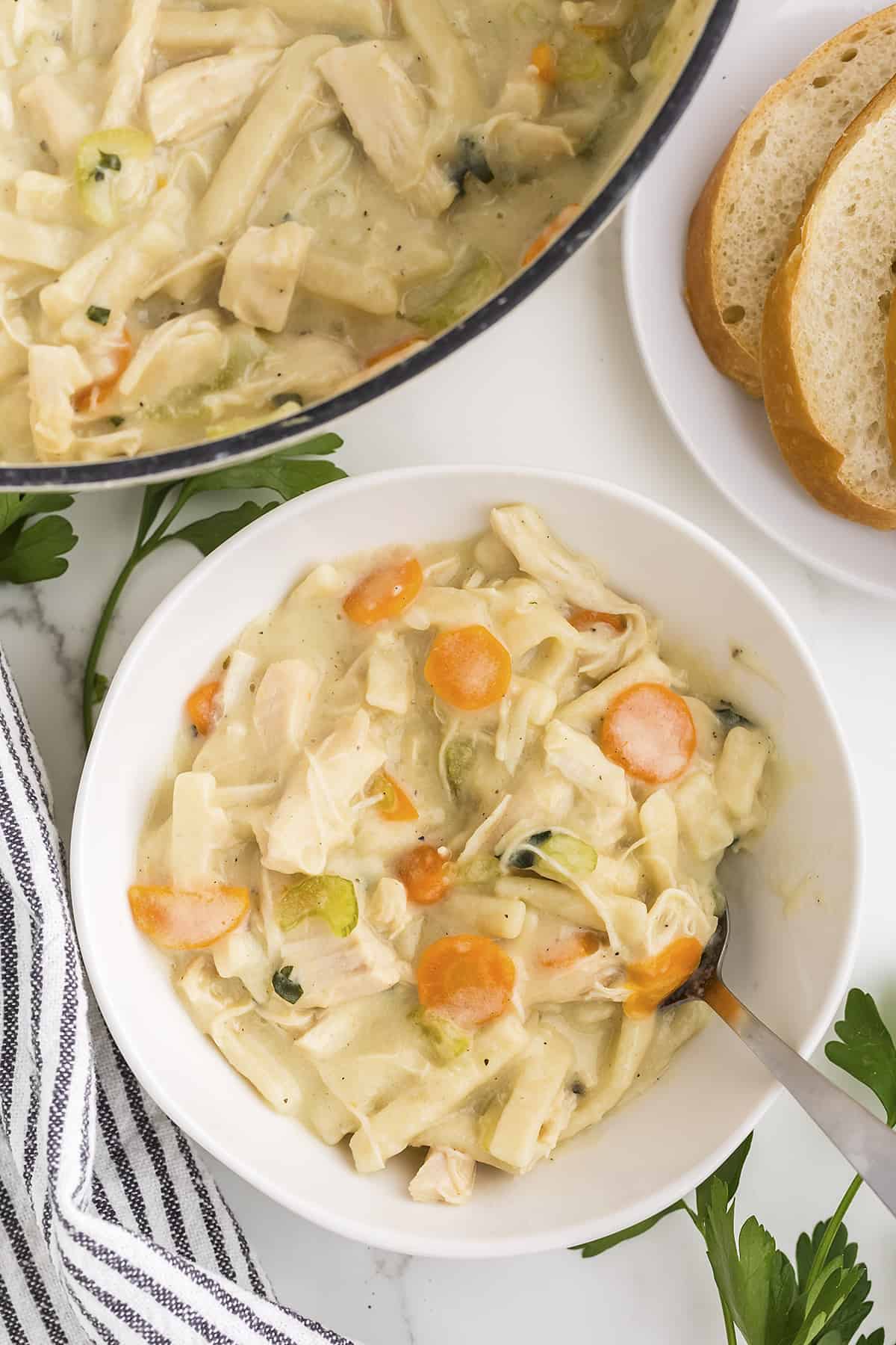 Bowl full of turkey noodle soup.