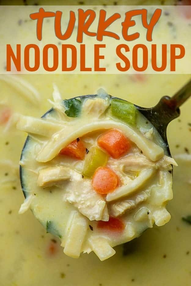 turkey noodle soup in ladle.