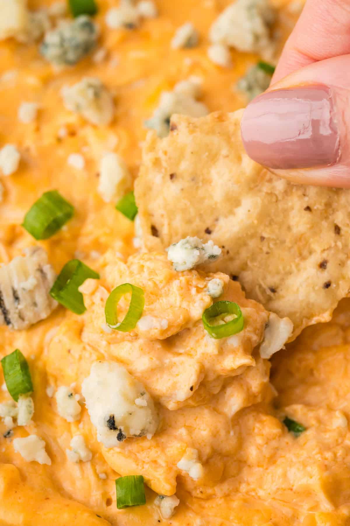 https://www.bunsinmyoven.com/wp-content/uploads/2020/01/slow-cooker-buffalo-chicken-dip-1.jpg