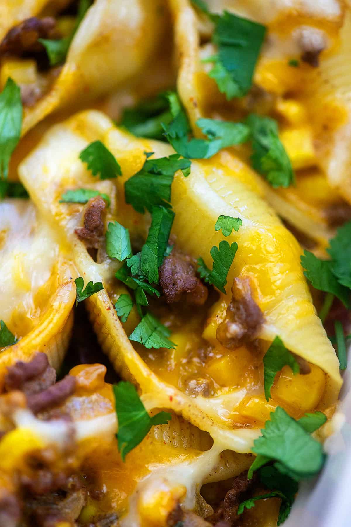 pasta shells stuffed with taco flavors.