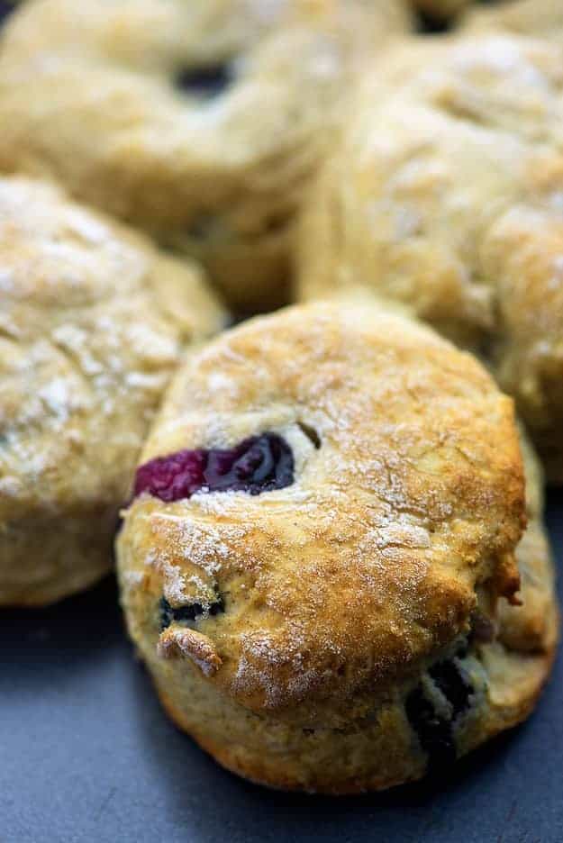 baked blueberry biscuit on cookie sheet