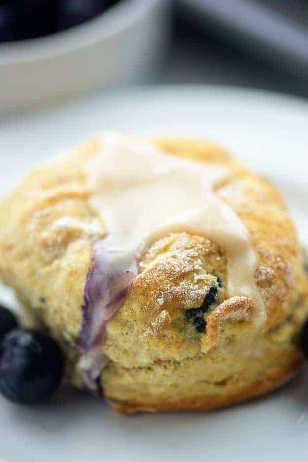 blueberry biscuit on white plate