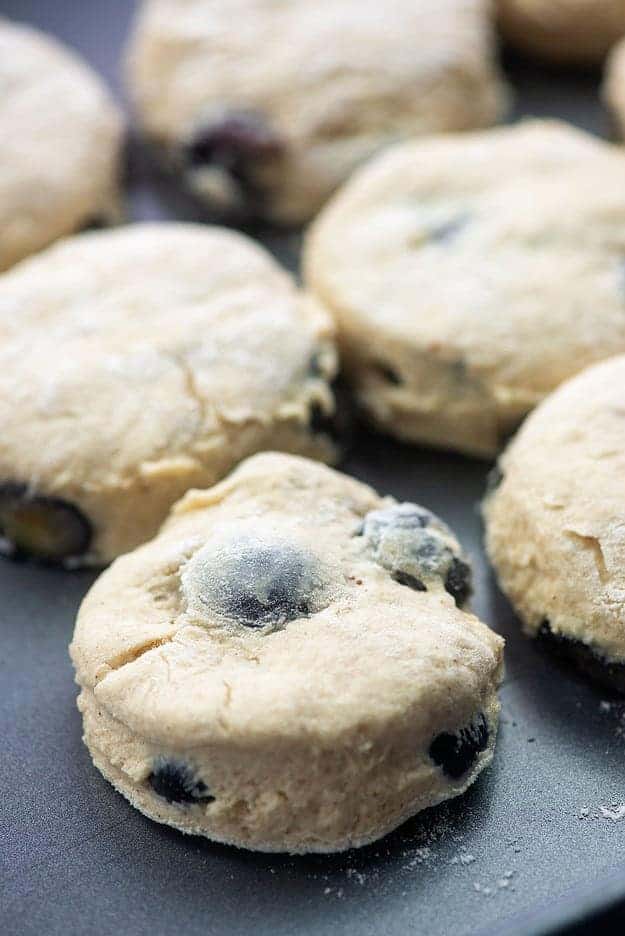 blueberry biscuits on baking sheet