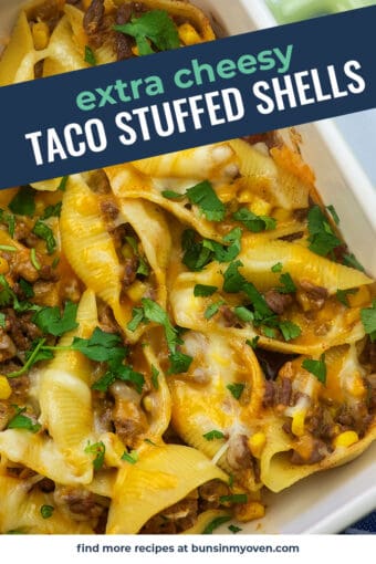 Cheesy Taco Stuffed Shells Recipe | Buns In My Oven