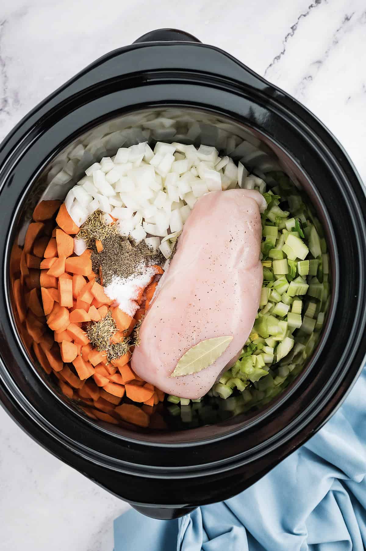 Ingredients for chicken noodle soup in crockpot.