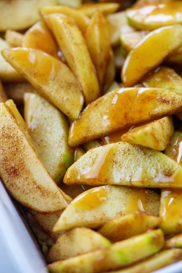 sliced apples drizzled with caramel sauce