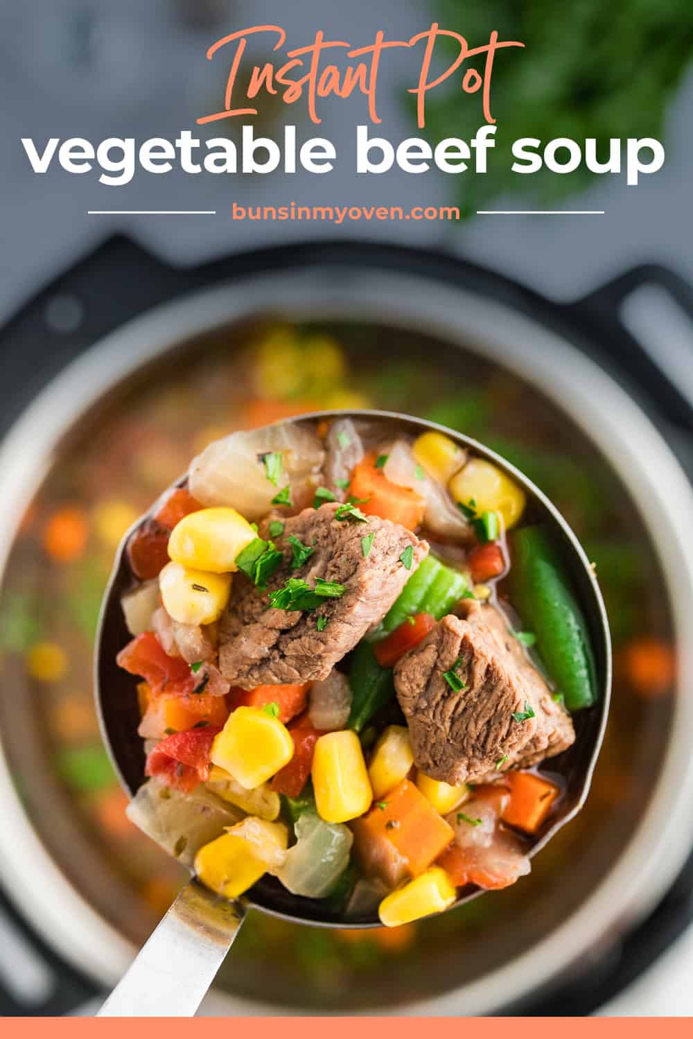 Easy Instant Pot Vegetable Beef Soup | Buns in My Oven