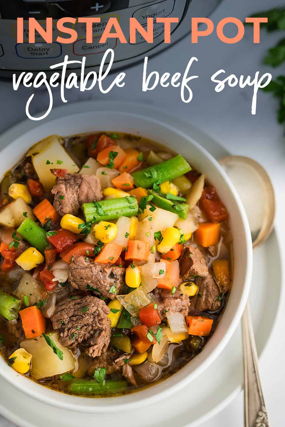 Easy Instant Pot Vegetable Beef Soup | Buns in My Oven