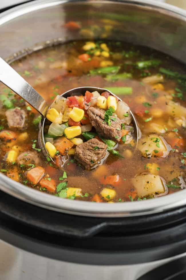 Easy Instant Pot Vegetable Beef Soup | Buns in My Oven