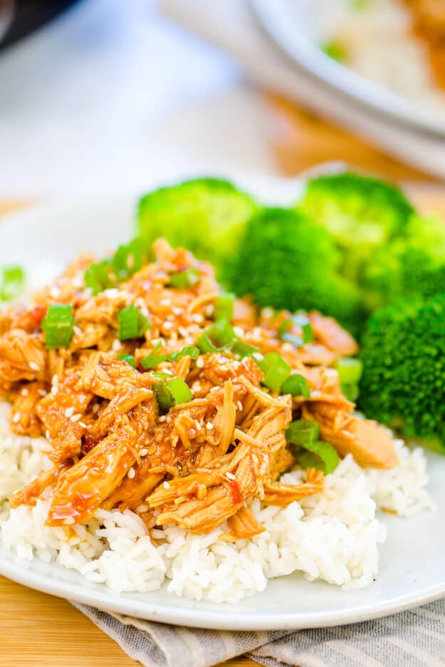 Crock Pot Honey Garlic Chicken Buns In My Oven