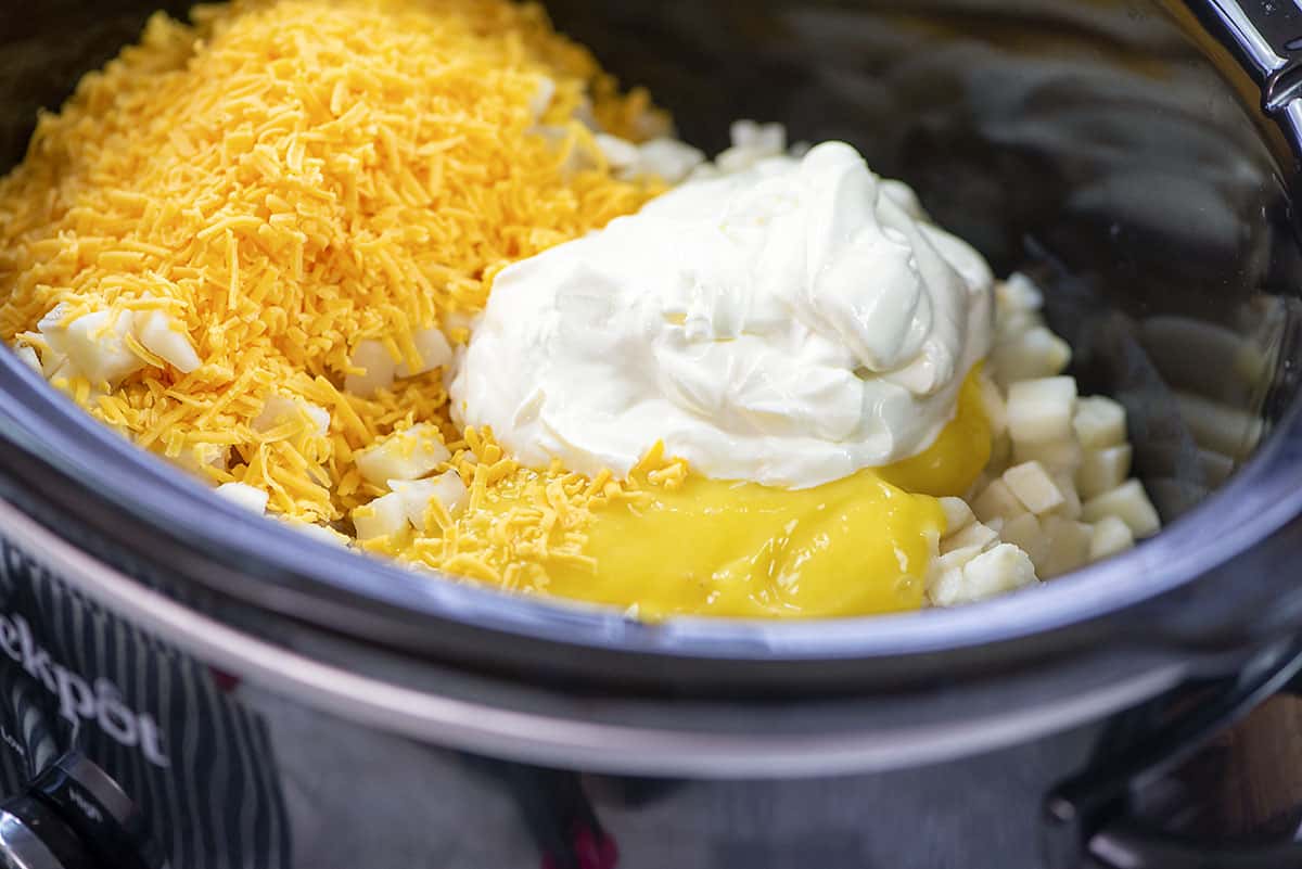 ingredients in crockpot.